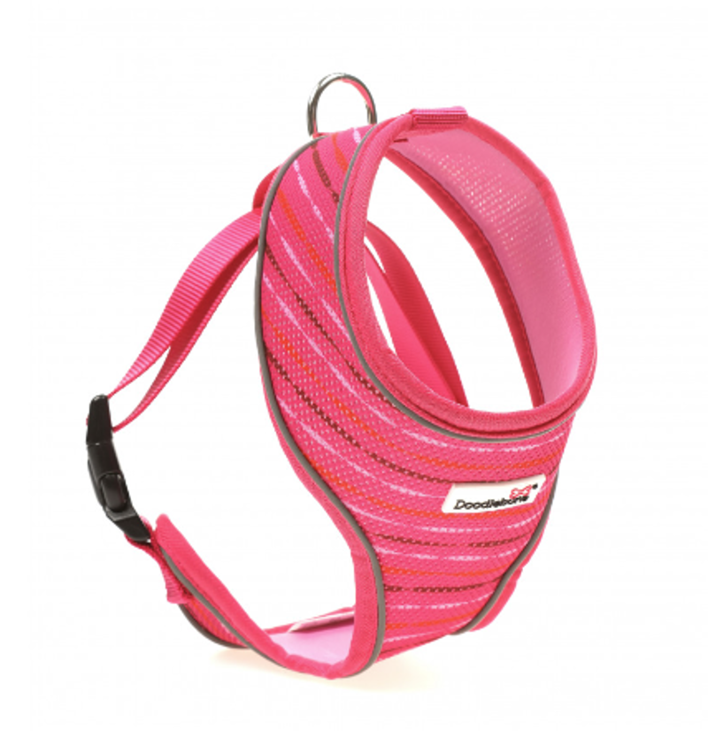 Doodlebone Original Pattern Airmesh Harness-3